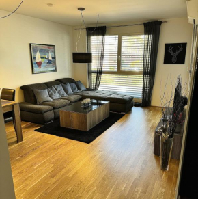 Brand New Apartment, Top Location-Near VIC/Danube Vienna